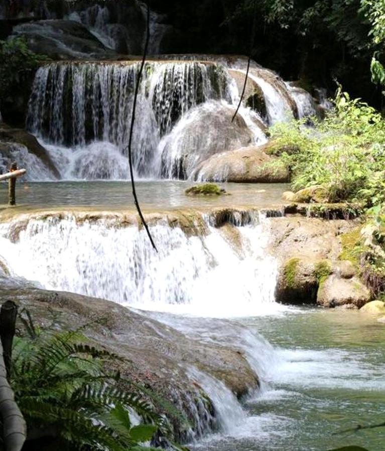 San Miguel del PuertoReserva Ecologica Vive Copalitilla别墅 外观 照片